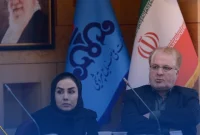 اولین اجلاس هم اندیشی مدیران HSE هلدینگ‌های صنعت پتروشیمی