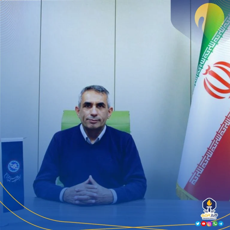 توسعه صنایع تکمیلی پتروشیمی نیازمند حمایت دولت است