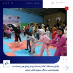 ببینید برگزاری مسابقات آمادگی جسمانی و بازی های بومی به مناسبت چهل وششمین سال پیروزی انقلاب اسلامی بیست ودوّم بهمن ماه ۱۴۰۳ عسلویه ب4