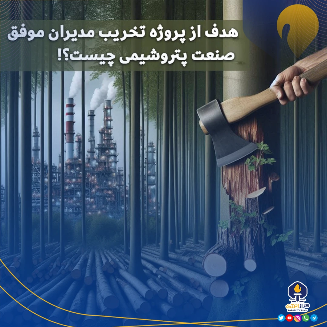 فساد ستیزی مدیران جهادی صنعت پتروشیمی برای چه کسانی گران تمام می‌شود؟!