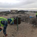 با دستان مبین انرژی خلیج فارس، ساحل نایبند دوباره نفس کشید 1