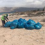 با دستان مبین انرژی خلیج فارس، ساحل نایبند دوباره نفس کشید 4