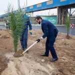 مدیران آریاساسول با غرس نهال روز درختکاری را گرامی داشتند 11