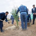 مدیران آریاساسول با غرس نهال روز درختکاری را گرامی داشتند 18