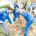 کارکنان شرکت پتروشیمی بوعلی سینا در روز ملی درختکاری نخل کاشتند