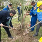 کارکنان شرکت پتروشیمی بوعلی سینا در روز ملی درختکاری نخل کاشتند 4