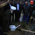 گزارش تصویری غرس نهال در مجتمع پتروشیمی شازند 3