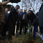 گزارش تصویری غرس نهال در مجتمع پتروشیمی شازند 4
