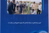 آیین درخت‌کاری در شرکت پالایش گاز هویزه خلیج فارس برگزار شد
