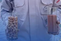 امسال، سال هنگام است!