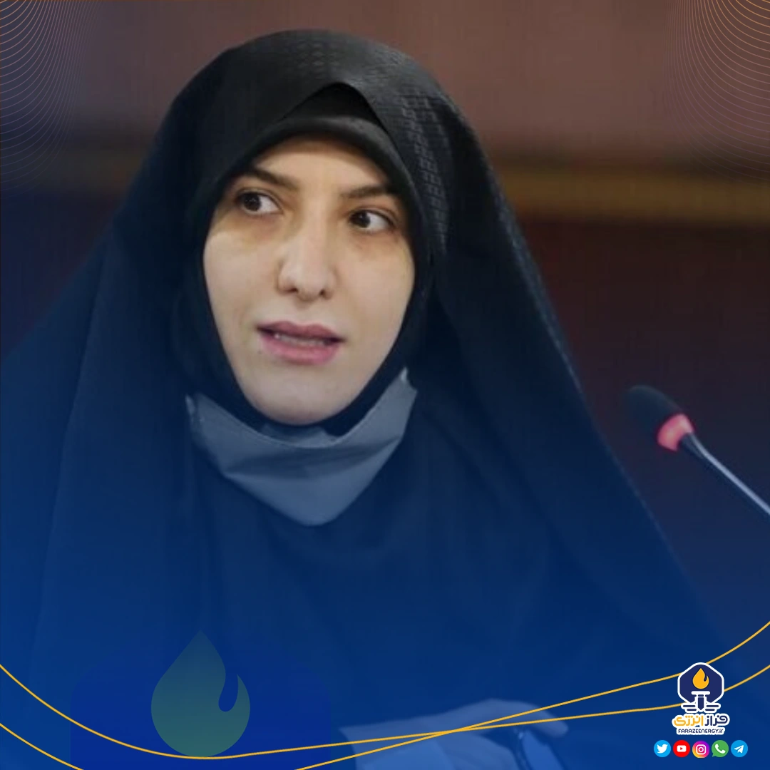 انتقاد مجلس از قیمت و میزان خوراک تحویلی وزارت نفت به صنایع پتروشیمی انتقاد مجلس از قیمت و میزان خوراک تحویلی وزارت نفت به صنایع پتروشیمی