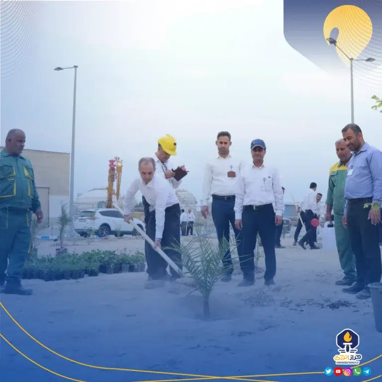 مراسم کاشت نهال با حضور مدیرعامل در شرکت دماوند انرژی برگزار شد