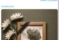 محمود امین نژاد حادثه تلخ انفجار در بندر شهید رجایی را تسلیت گفت