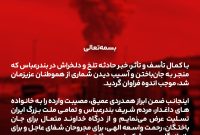 پیام تسلیت مدیرعامل پتروشیمی مروارید در پی حادثه دلخراش بندرعباس