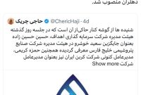 حمزه کریمی مدیرعامل ⁧پتروشیمی دهلران‬⁩ شد