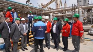 بازدید تاپیکو 6