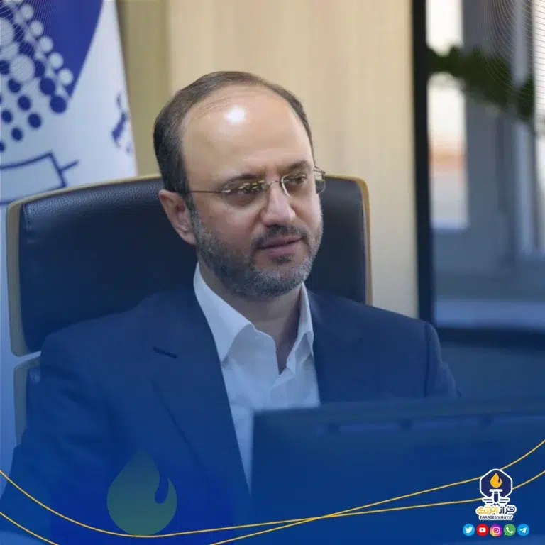 مهدی حسین‌پور، مدیرعامل پامیدکو شد