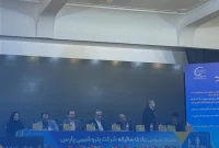 سیاوش میرحاجی مدیرعامل شرکت پتروشیمی پارس در مجمع: