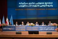 تقسیم سود نقدی ۶۸۰ ریال به ازای هر سهم شگویا
