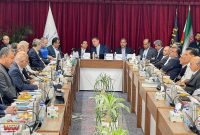 دولت مصمم به توسعه متوازن صنعت پتروشیمی در منطقه عسلویه است