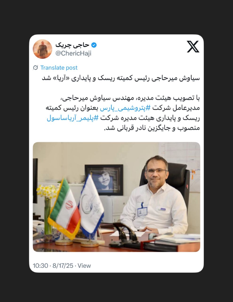 سیاوش میرحاجی رئیس کمیته ریسک و پایداری «آریا» شد