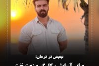 شاید اگر پیمانکاری نبود زنده می‌ماند