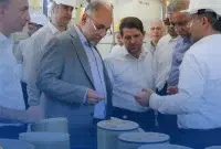 بازدید مدیران عامل شرکت ملی صنایع پتروشیمی ایران و سازمان تامین اجتماعی نیروهای مسلح از شرکت‌های گروه شستان در عسلویه