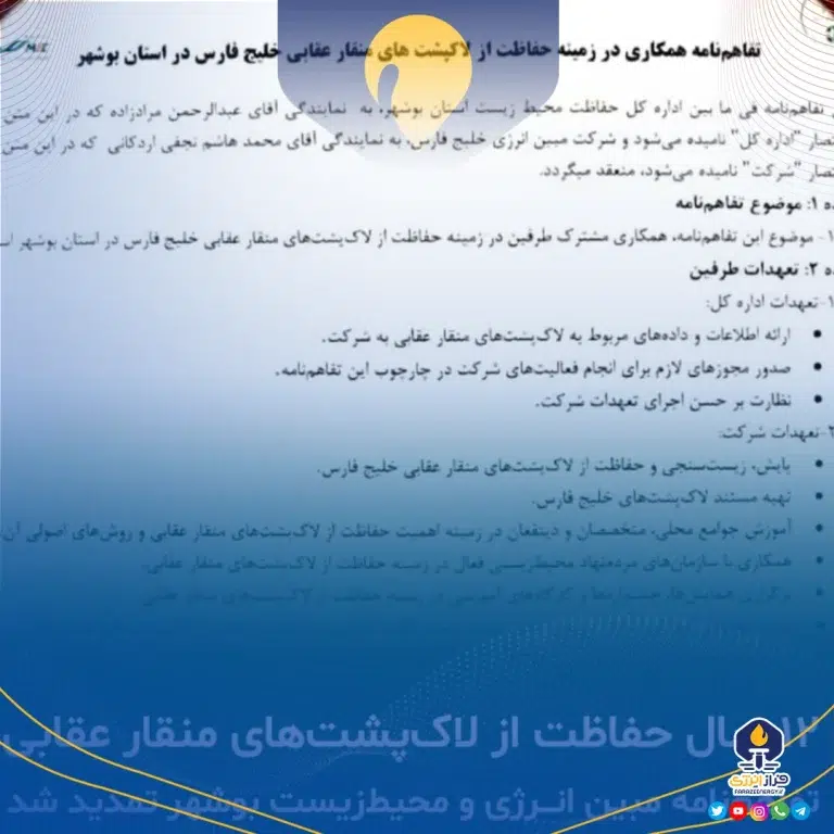 دوازده سال حمایت از گونه لاکپشت منقار عقابی
