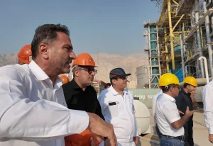 بازدید 2