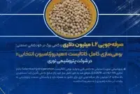 بومی‌سازی کامل کاتالیست «هیدروژناسیون انتخابی» در پتروشیمی نوری