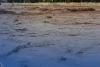 پیکر بی جان مدیر سایت پتروشیمی لورچ پیدا شد