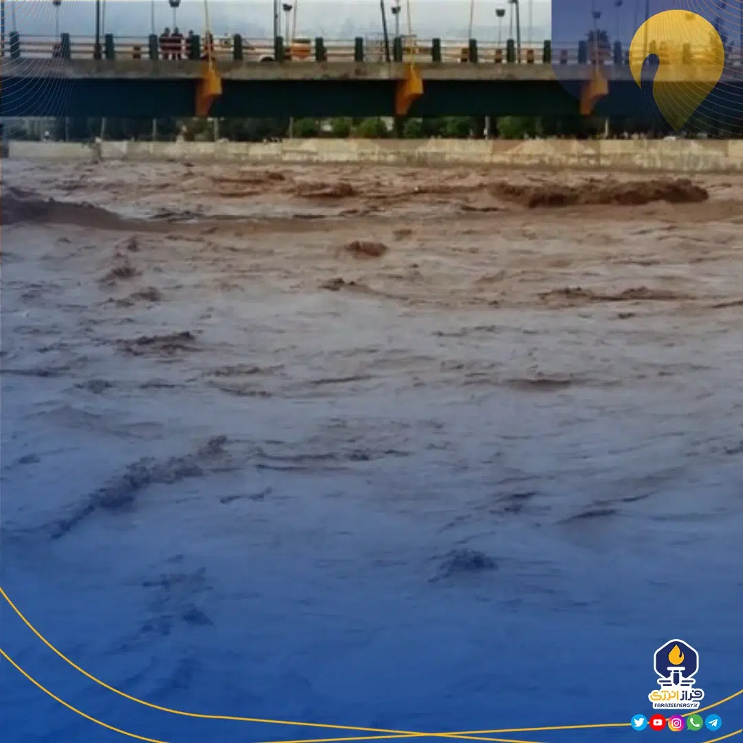 پیکر بی جان مدیر سایت پتروشیمی لورچ پیدا شد