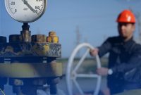 محدودیت های خوراک «شپدیس» و «شخاس» محدودیت های خوراک «شپدیس» و «شخاس»