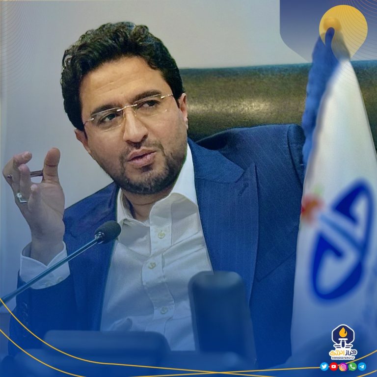 کمیل پورضیائی نائب رئیس هیئت مدیره «شخارک» شد