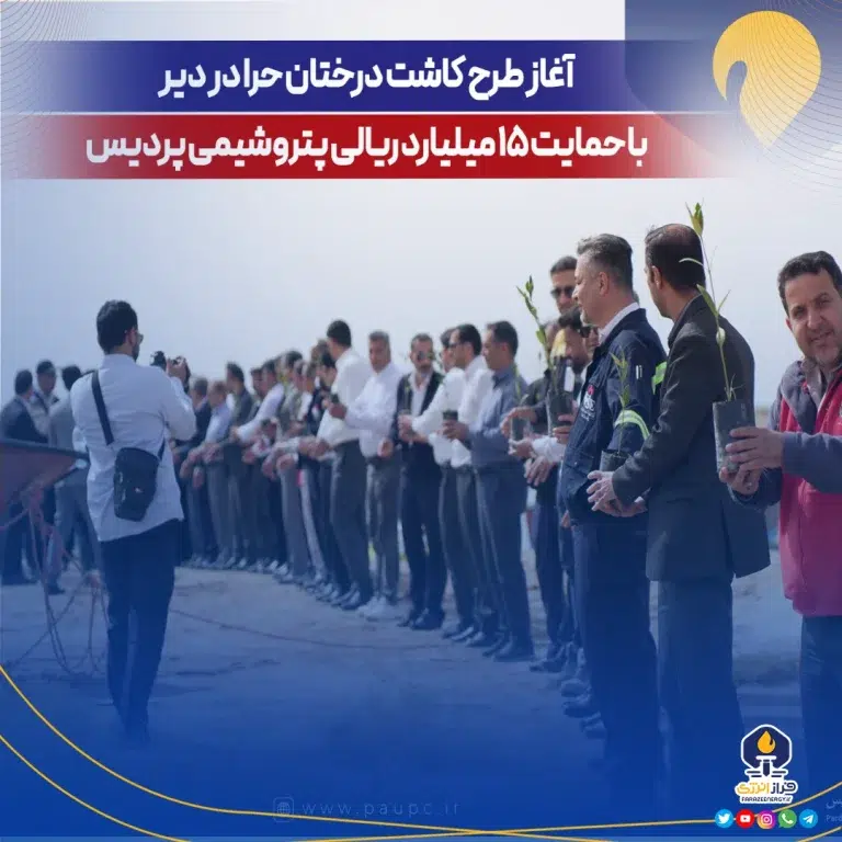 آغاز طرح کاشت درختان حرا در دیر با حمایت ۱۵ میلیارد ریالی پتروشیمی پردیس