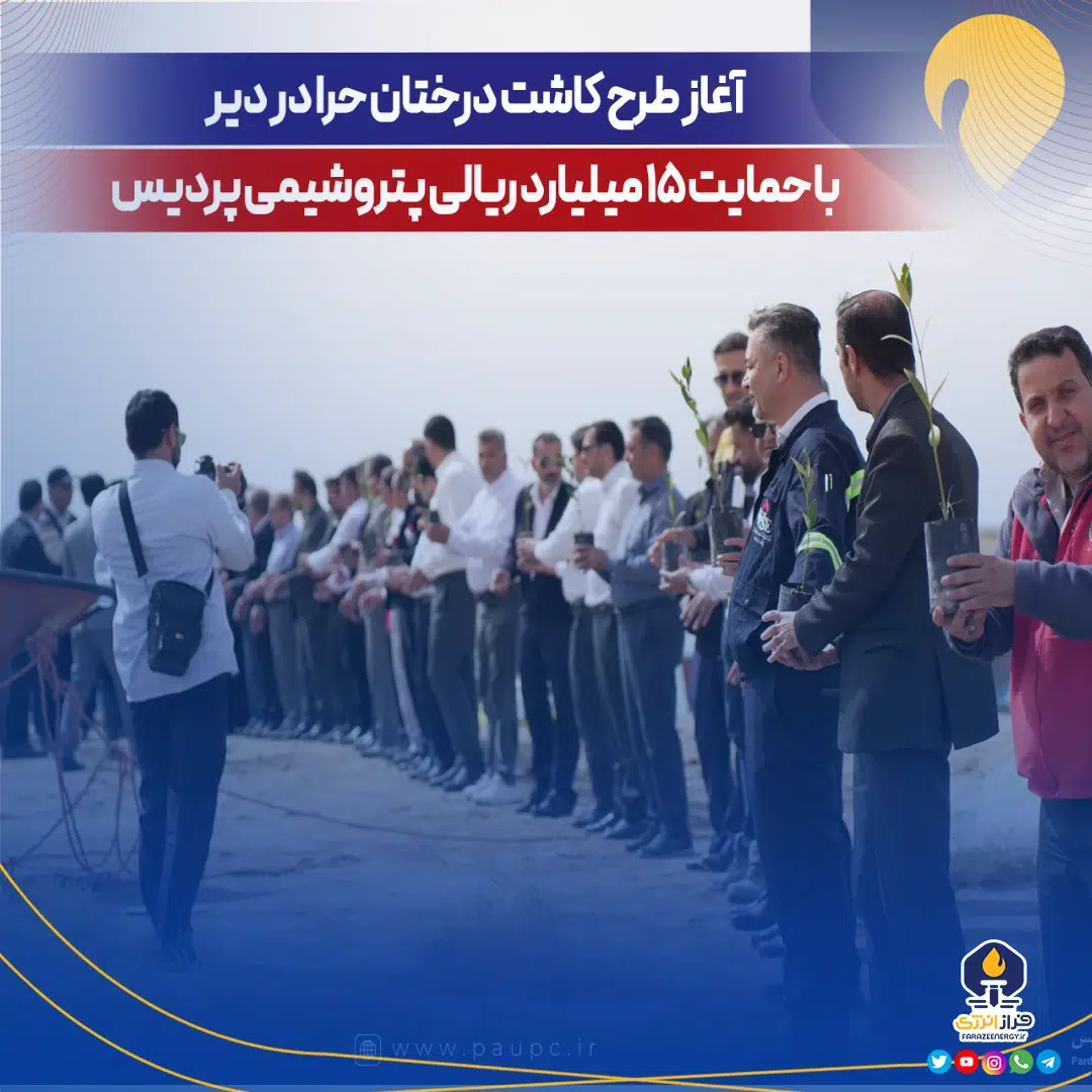 آغاز طرح كاشت درختان حرا در دیر با حمایت ۱۵ میلیارد ریالی پتروشیمی پردیس آغاز طرح كاشت درختان حرا در دیر با حمایت ۱۵ میلیارد ریالی پتروشیمی پردیس