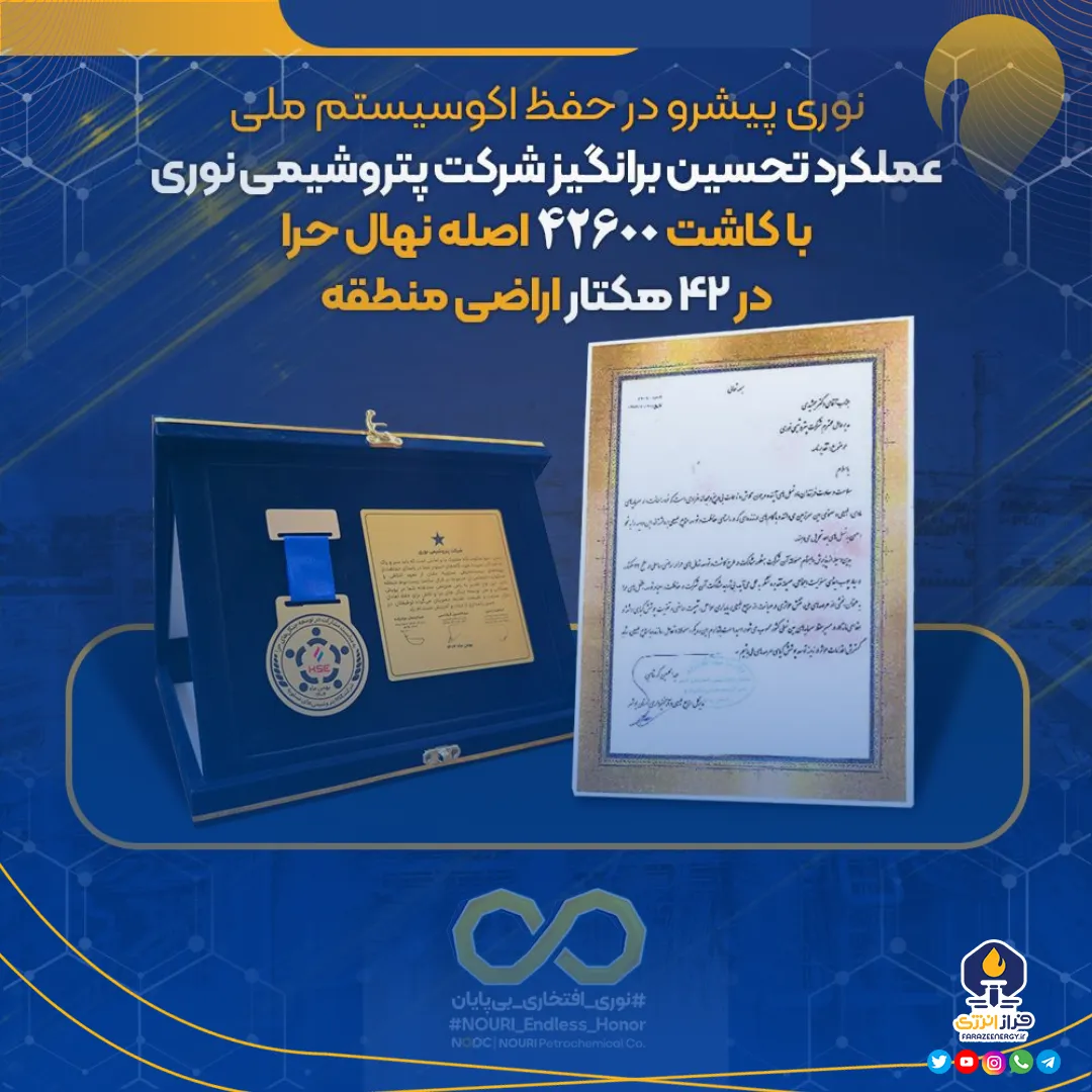 عملکرد تحسین برانگیز شرکت پتروشیمی نوری با کاشت ۴۲۶۰۰ اصله نهال حرا در ۴۲ هکتار اراضی منطقه