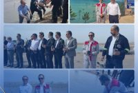 مشارکت شرکت پایانهها و مخازن پتروشیمی در طرح ملی کاشت نهال حرا مشارکت شرکت پایانهها و مخازن پتروشیمی در طرح ملی کاشت نهال حرا