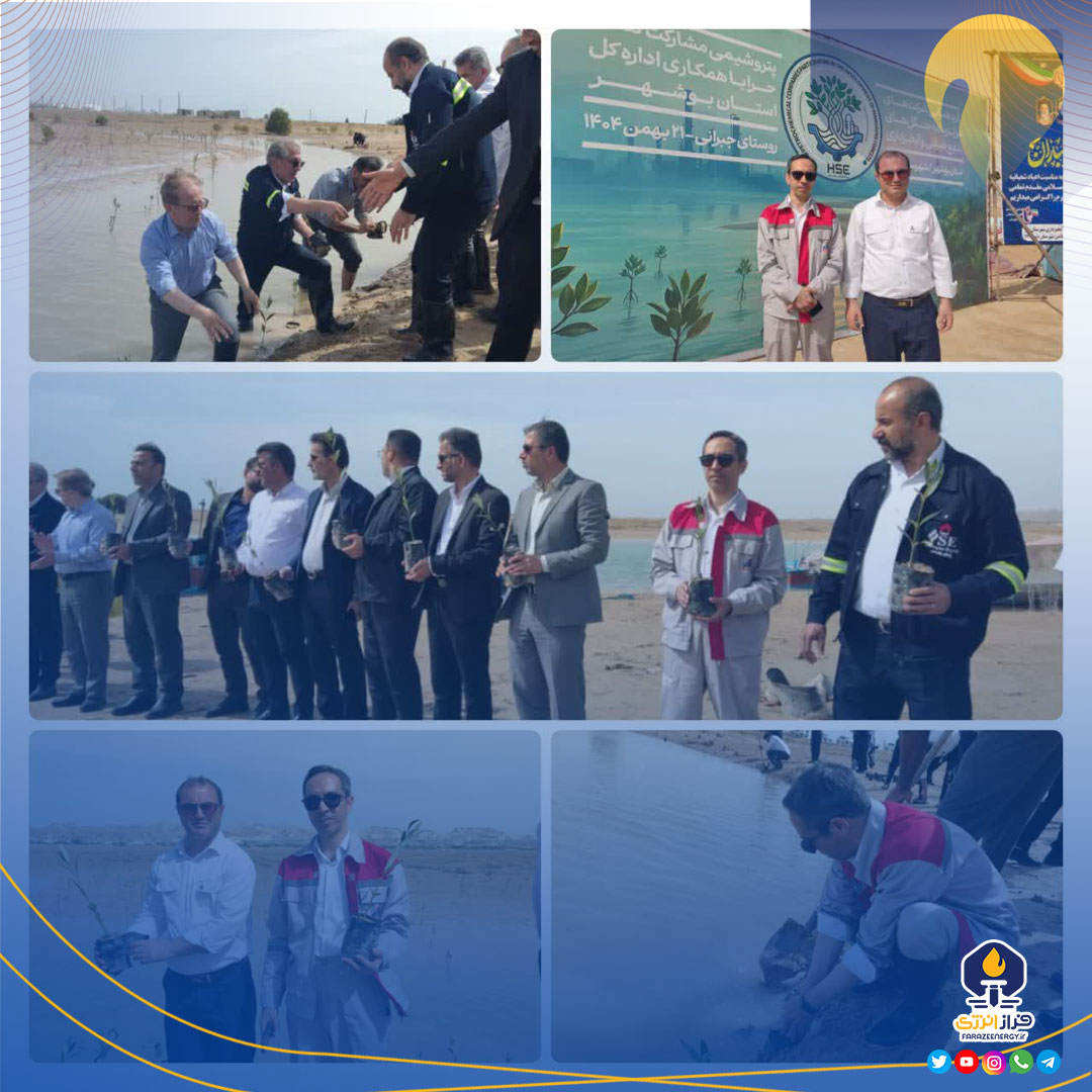 مشارکت شرکت پایانهها و مخازن پتروشیمی در طرح ملی کاشت نهال حرا مشارکت شرکت پایانهها و مخازن پتروشیمی در طرح ملی کاشت نهال حرا