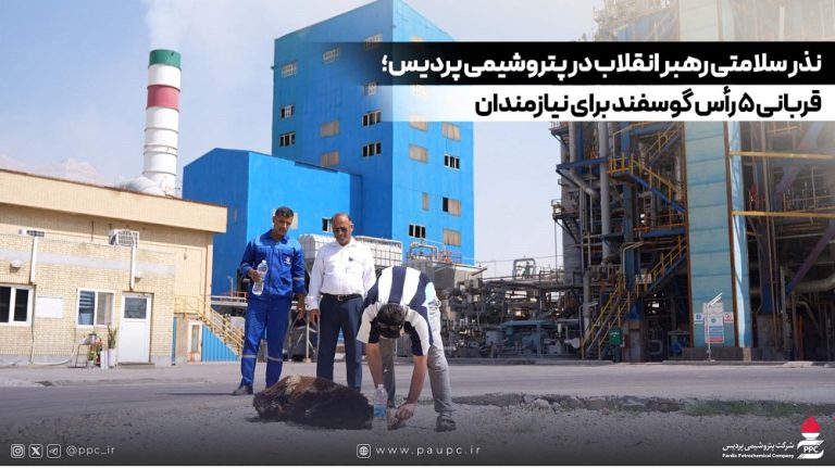 قربانی ۵ رأس گوسفند برای نیازمندان