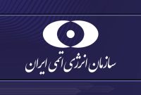 بی‌عملی مدیرکل آژانس بین‌المللی انرژی اتمی را از مسیرهای حقوقی پیگیری می‌کنیم