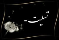پیام تسلیت مدیرعامل پازارگاد به مناسبت درگذشت جمعی از همکاران خدوم شاغل در مجتمع گازی پارس جنوبی