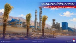 کاشت درختان مثمر در شرکت پتروشیمی پردیس