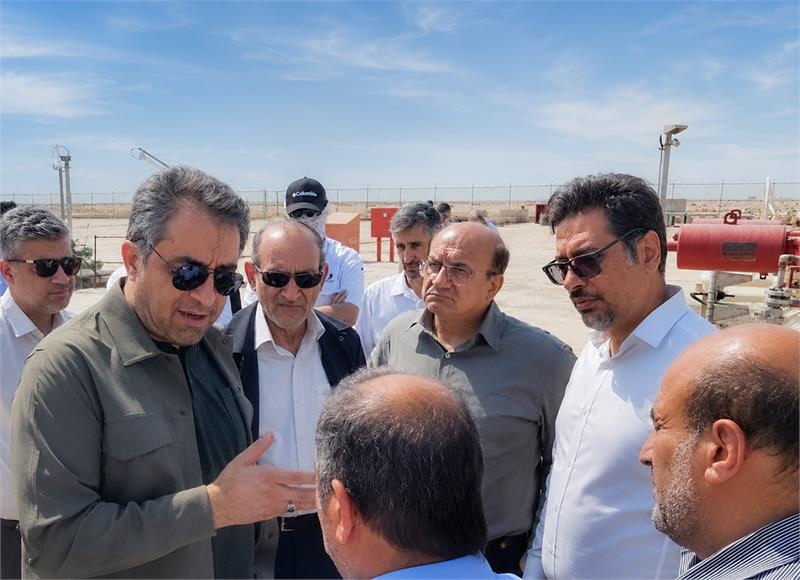 داکو