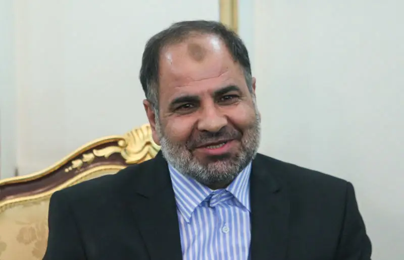 دیپلمات سابق راهی هیئت‌مدیره پتروپالایشگاه نگین شد